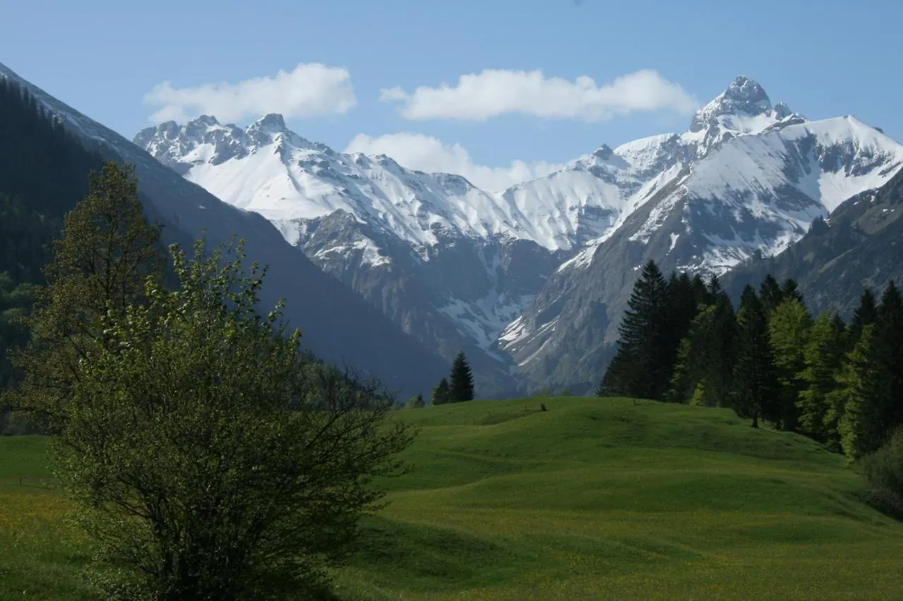 Berggasthof Riefenkopf 오버스트도르프 여관